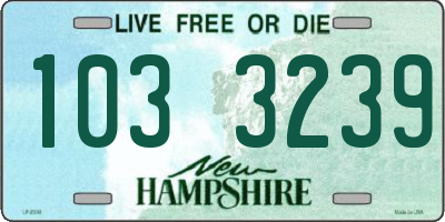 NH license plate 1033239