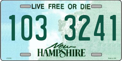 NH license plate 1033241