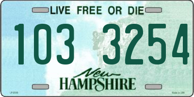 NH license plate 1033254