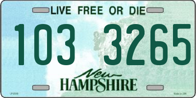 NH license plate 1033265