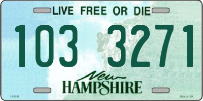 NH license plate 1033271