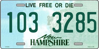 NH license plate 1033285