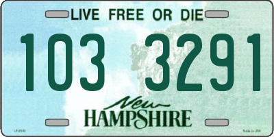 NH license plate 1033291