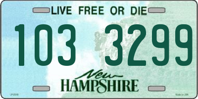 NH license plate 1033299