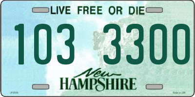 NH license plate 1033300