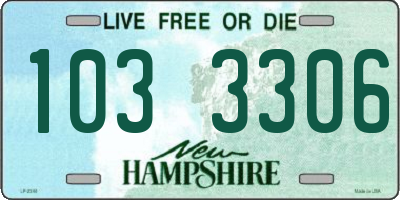 NH license plate 1033306
