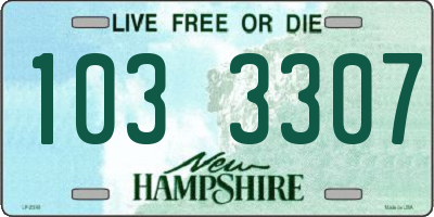 NH license plate 1033307