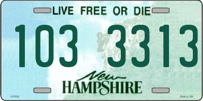 NH license plate 1033313