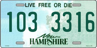 NH license plate 1033316