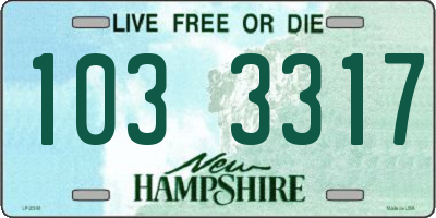 NH license plate 1033317