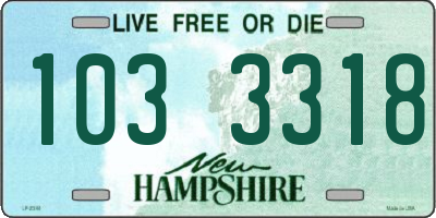 NH license plate 1033318