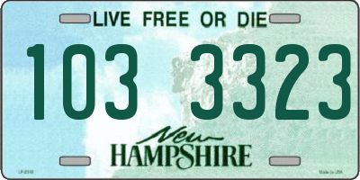 NH license plate 1033323