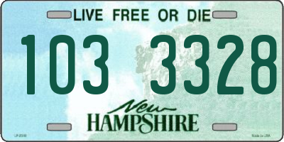 NH license plate 1033328