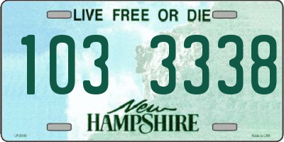 NH license plate 1033338