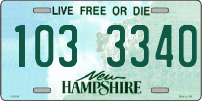 NH license plate 1033340