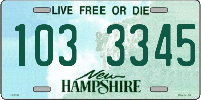 NH license plate 1033345