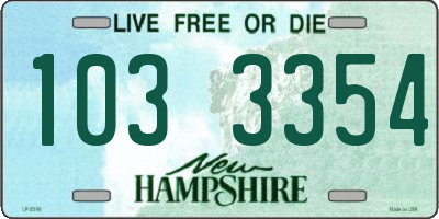 NH license plate 1033354