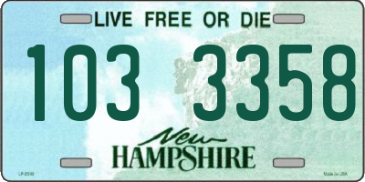 NH license plate 1033358