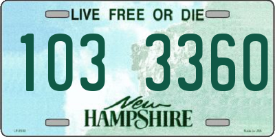 NH license plate 1033360