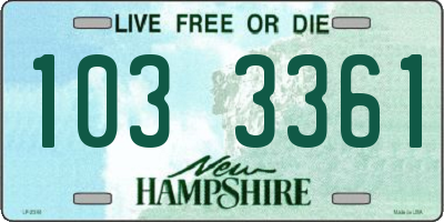NH license plate 1033361