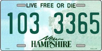 NH license plate 1033365
