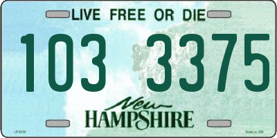 NH license plate 1033375