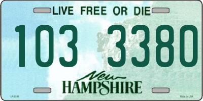 NH license plate 1033380