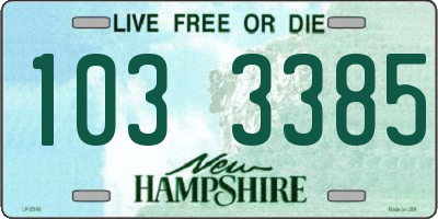 NH license plate 1033385