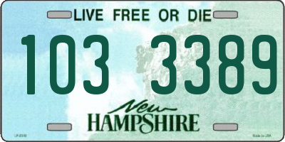 NH license plate 1033389