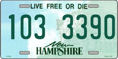 NH license plate 1033390