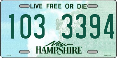 NH license plate 1033394