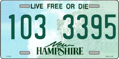 NH license plate 1033395