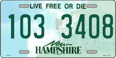 NH license plate 1033408