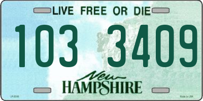 NH license plate 1033409
