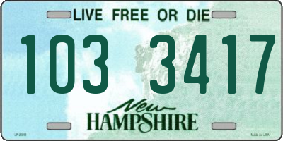NH license plate 1033417