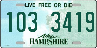 NH license plate 1033419