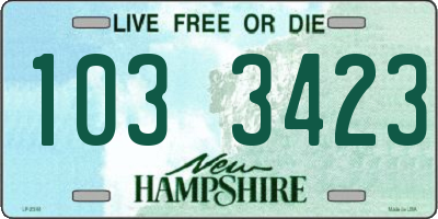 NH license plate 1033423