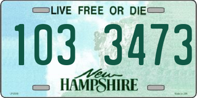 NH license plate 1033473