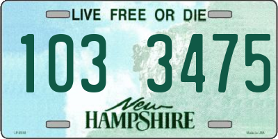 NH license plate 1033475