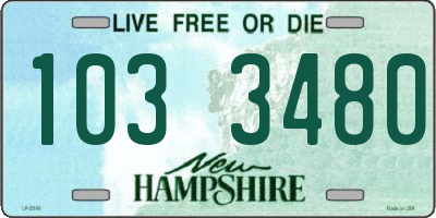 NH license plate 1033480