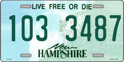 NH license plate 1033487