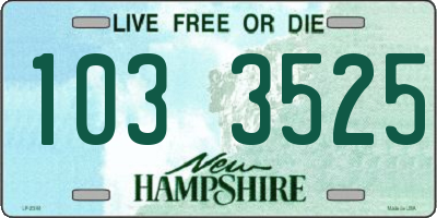 NH license plate 1033525