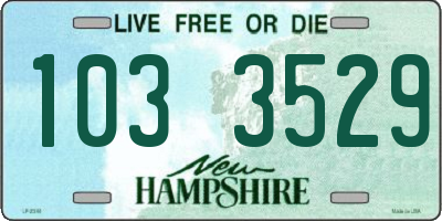 NH license plate 1033529
