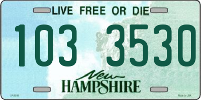 NH license plate 1033530