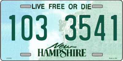 NH license plate 1033541