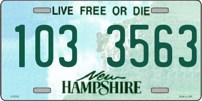 NH license plate 1033563