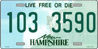 NH license plate 1033590