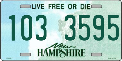 NH license plate 1033595