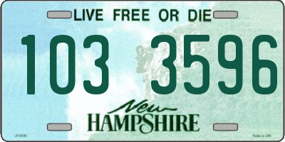 NH license plate 1033596