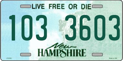 NH license plate 1033603